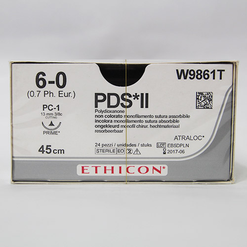 フィディエス（PDS 6-0）W9861T