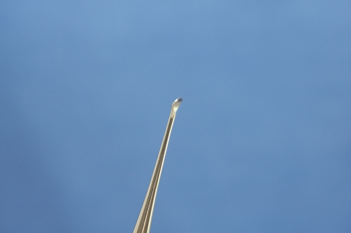 SURGICAL CURETTE(OS)