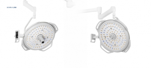 L200（ルビス手術など）