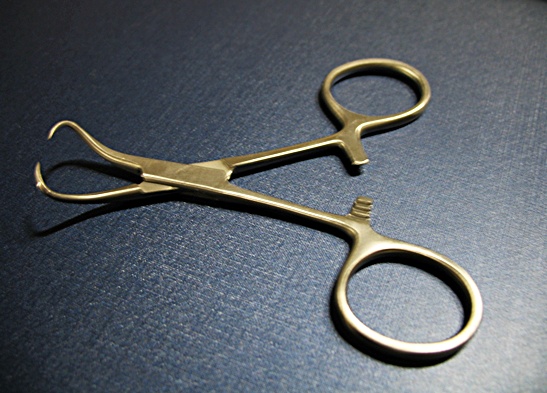 towel clip ,towel forceps